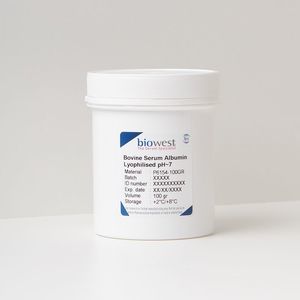 Reagenz / Albumin aus Rinderserum 1