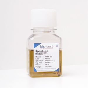 Reagenz / Albumin aus Rinderserum 1