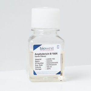 Reagenz / Amphotericin B