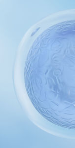 Testkit für Lymphome