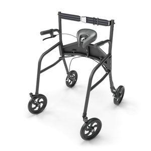 Rollator mit 4 Rädern