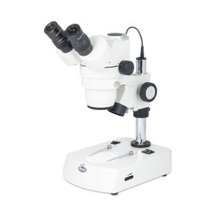 optisches Stereomikroskop