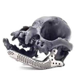 Veterinärmedizinisches Knochenimplantat / für Hunde