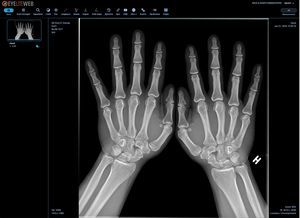 Software-Modul / DICOM-Visualisierung