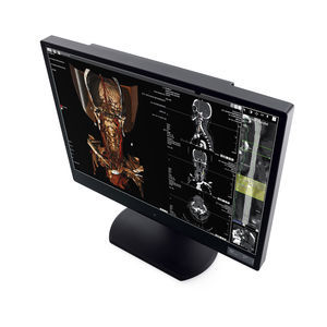 Diagnose-Monitor 1