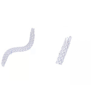 Ureter-Stent