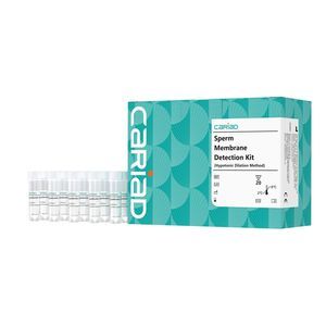 Testkit für Fruchtbarkeit 1