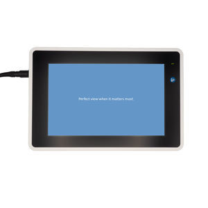 Monitor für Endoskopie