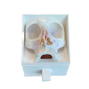 Chirurgie-Phantom 1