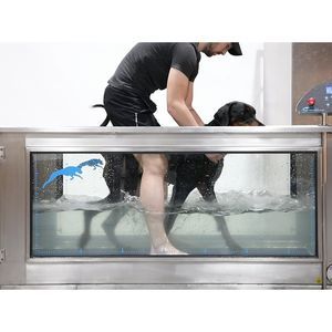 Veterinär-Laufband / Unterwasser 1
