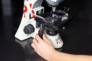 optisches Stereomikroskop