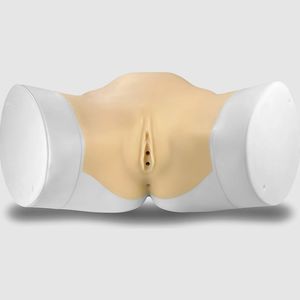 Anatomisches Modell / für Endométrie