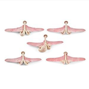 Anatomisches Modell / Uterus