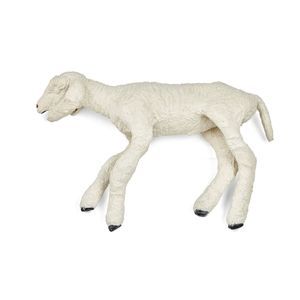 Anatomisches Modell / Ganzkörper