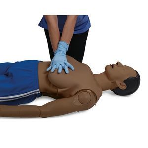 Haut anatomisches Modell 1