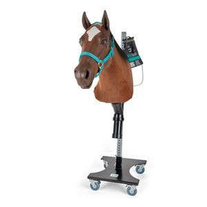 Trainingspuppe für Veterinärbehandlung 1