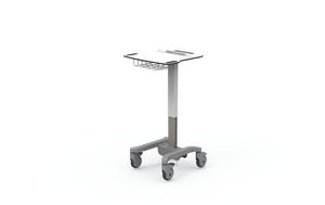 gesicherter Computerwagen