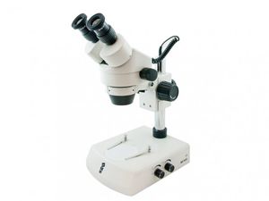 optisches Stereomikroskop 1