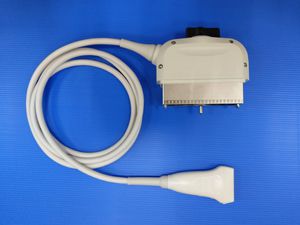 lineare Ultraschallsonde 1