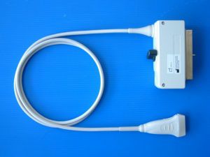 lineare Ultraschallsonde 1