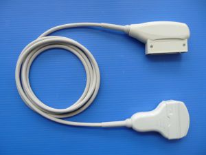 konvexe Ultraschallsonde 1
