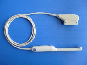 Endokavitär-Ultraschallsonde 1