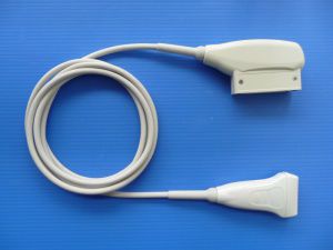 lineare Ultraschallsonde 1
