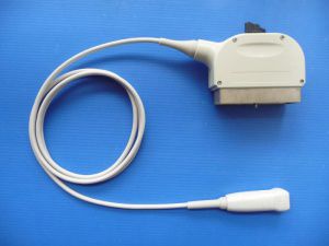 Phased-Array-Ultraschallsonde 1