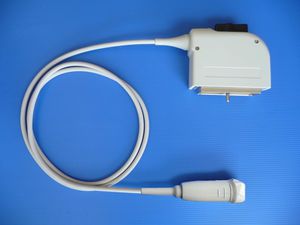 Phased-Array-Ultraschallsonde