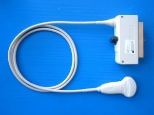 konvexe Ultraschallsonde 1