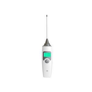 Fieberthermometer 1