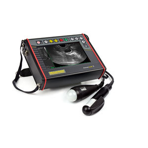 Tierärztliches Ultraschallsystem / Handgerät / multifunktional