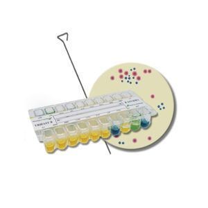 Schnelltest für antibiotischen Anfälligkeitstest 1