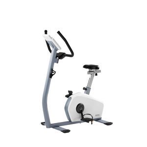 Liegefahrrad zum Treten 1
