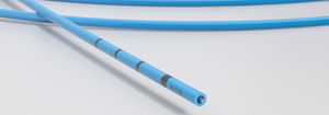 Elektrode für Magenschleimhautablation