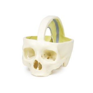 anatomisches Schädelmodell 1