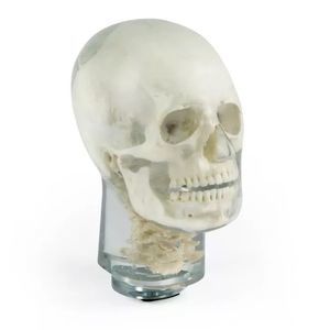 Testphantom für Röntgenzwecke