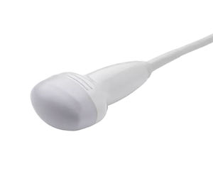 konvexe Ultraschallsonde 1