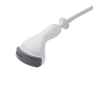konvexe Ultraschallsonde 1