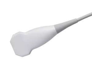 lineare Ultraschallsonde 1