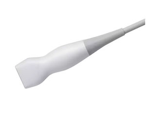 Phased-Array-Ultraschallsonde 1