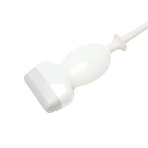 lineare Ultraschallsonde 1