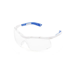 Sicherheitsbrille 1
