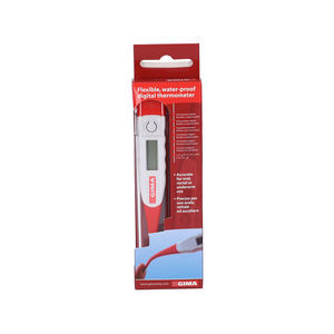 Fieberthermometer 1