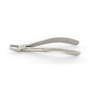 Dentale Extraktionszange / für Molaren 1