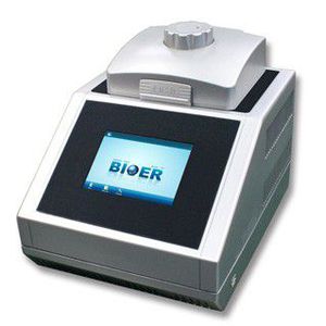 Thermocycler mit Gradient