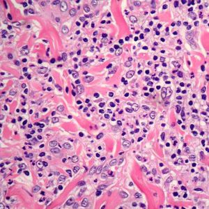 Farbstoff Reagenz / für die Histologie / Gewebe / flüssig