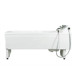 elektrische Pflegebadewanne
