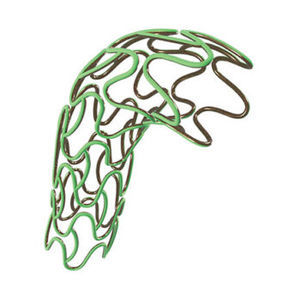 Koronararterien-Stent