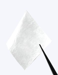 Allograft-Matrix 1